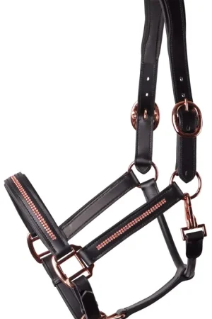 Super Prix Licol en cuir avec strass - HARRY'S HORSE