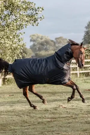 Couverture d'extérieur All Weather imperméable Classic 0g TINY - Kentucky Remise