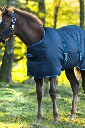 Couverture d'extérieur indéchirable poulain Amigo - HORSEWARE Commander Maintenant
