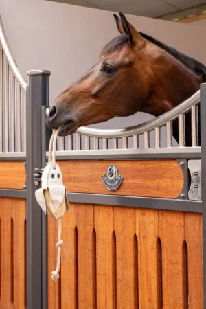 Jouet pour cheval Banane - LEMIEUX Super Prix