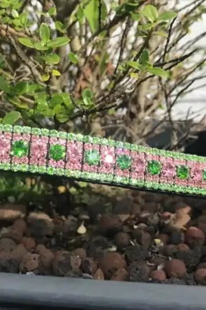 Paiement Sécurisé Frontal en strass rose et vert