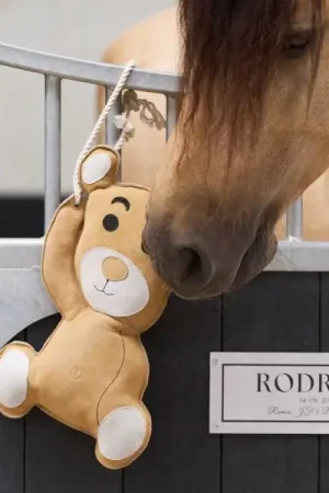 Jouet de box Teddy - IMPERIAL RIDING Expédition Rapide