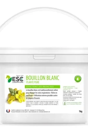 Bouillon Blanc Respiration - ESC LABORATOIRE Achat Immédiat