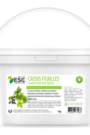 Cassis Articulation - ESC LABORATOIRE Dernier Modèle