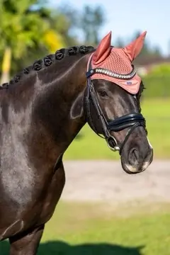 Offre Limitée Bonnet anti-mouches Modern Coral - Equestrian Stockholm