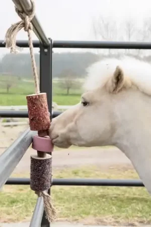 Remise Jouet en bois relaxant avec pierre à sel SAMMY - Kentucky