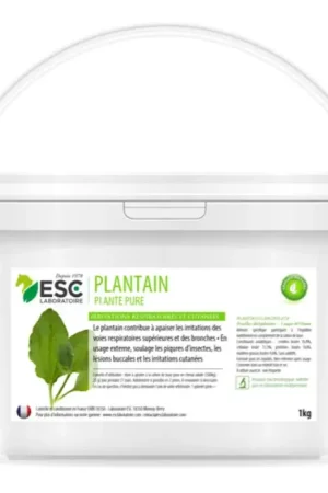 Bon Marché Plantain respiration et irritations cutanées - ESC LABORATOIRE