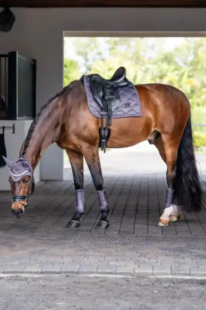Tapis de selle Dark Violet DRESSAGE - Equestrian Stockholm Remise