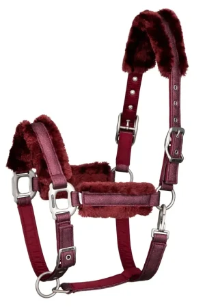 Super Prix Licol Hollywood Glamorous Bordeaux - SD DESIGN