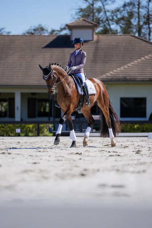 Tapis de selle Modern Blanc Dark Violet DRESSAGE - Equestrian Stockholm Prix Promo