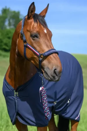 Set licol et longe Yale - Tommy Hilfiger Seulement Aujourd'hui