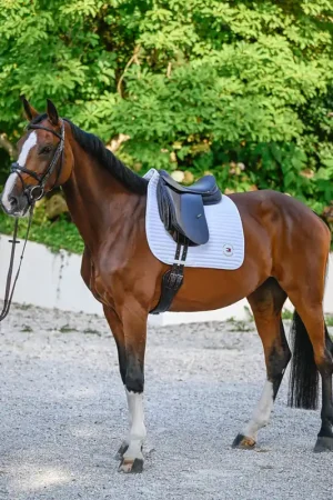 Expédié Aujourd'hui Tapis de selle Upstate DRESSAGE - Tommy Hilfiger