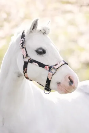 Prix Promo Licol Rebel Flower - IMPERIAL RIDING
