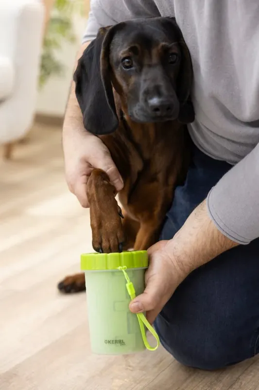 Acheter Direct Nettoyeur pour pattes chien - KERBL