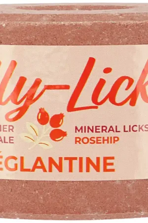 Prix Bas Pierre à sel Lolly Lick Églantine - Hippotonic