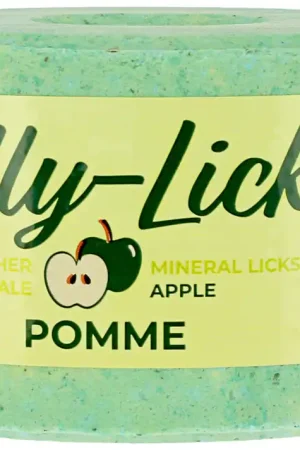 Pierre à sel Lolly Lick Pomme - Hippotonic Meilleur Choix