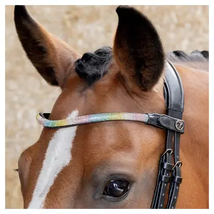 Frontal Rainbow - Harry's Horse Dernier Modèle