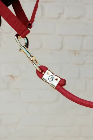 Longe Basic Rouge - Kentucky Promotion