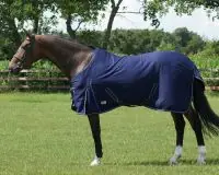 Chemise coton - QHP Prix Bas