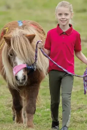 Expédié Aujourd'hui Polo HKM Classico