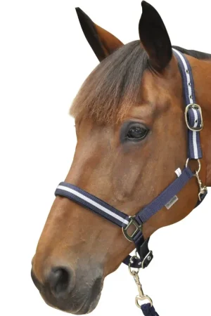 Réduction Licol avec longe Canter Nylon