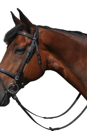 Prix Cassé Collier de chasse Flags&Cup Helsinki