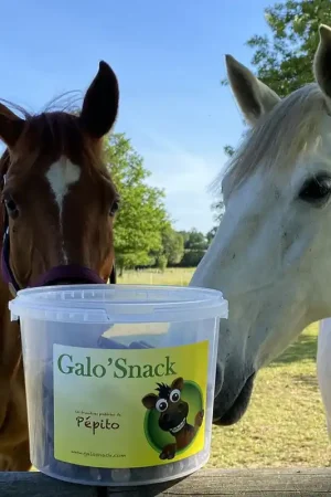 Bonbons Galo'Snack Satisfait Ou Remboursé