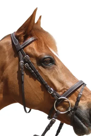 Promotion Bridon Privilège Equitation Grandville