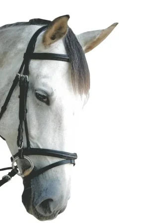 Retour Gratuit Bridon Privilège Equitation Royan