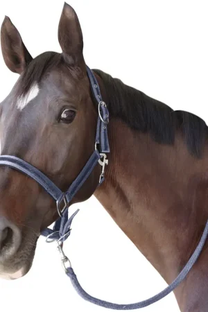 Prix Réduit Licol avec longe Flags&Cup Beluga