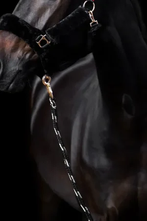 Longe Imperial Riding Go Star Offre Spéciale