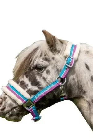 Seulement Aujourd'hui Licol HKM Funny Horses II