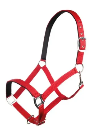 Expédition Rapide Licol HKM Charming
