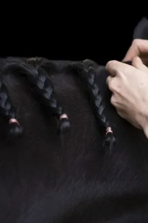 Elastiques à crinière Imperial Riding Haute Qualité
