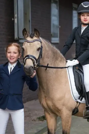 Veste de concours QHP Juliet Commander Maintenant