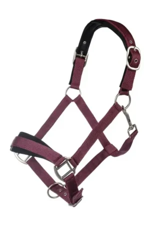 Authentique Licol HKM Samantha