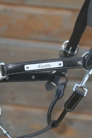 Populaire Licol en cuir HKM personnalisé