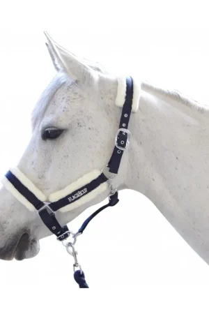 Prix Bas Set licol et longe Flags&Cup VELTA