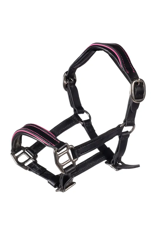 Licol en cuir Manchester HKM Hobby Horsing Satisfait Ou Remboursé