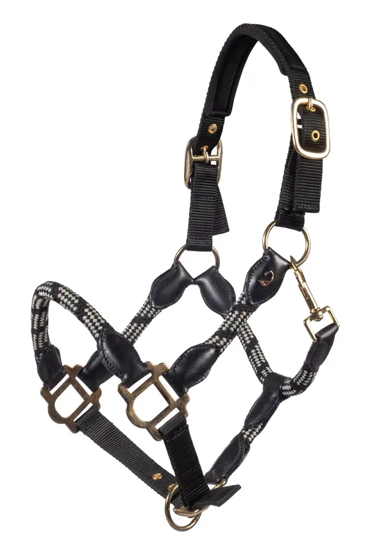 Vente Flash Licol HKM Limone Sportive