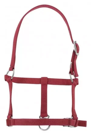 Licol poulain nylon - Riding World Bon Marché