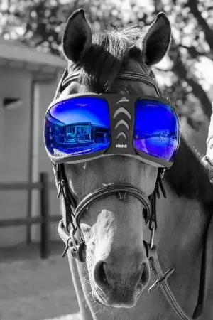 Verres de remplacement masque Evysor - Equick Prix Cassé