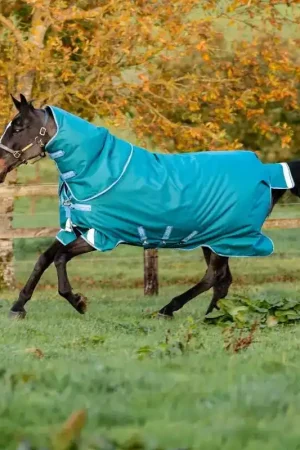 Vente Directe Couverture cheval 400g avec cou Amigo Bravo 12 Plus Heavy - Horseware