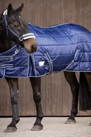 Acheter En Ligne Couverture de box cheval Economic 300g - Waldhausen