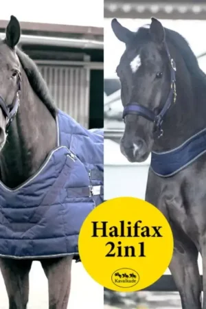 Couverture cheval 2 en 1 écurie et marcheur Halifax 200gr - Kavalkade Offre Exclusive