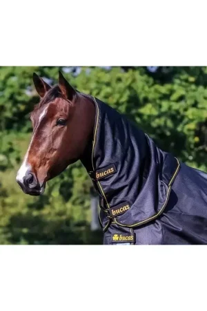 Bon Marché Couvre-cou extérieur cheval Irish - Bucas