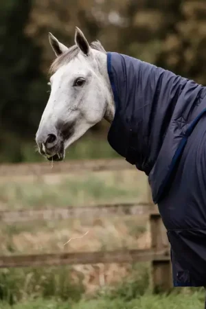Achetez Aujourd'hui Couvre cou cheval imperméable All Weather Hurricane 150g - Kentucky