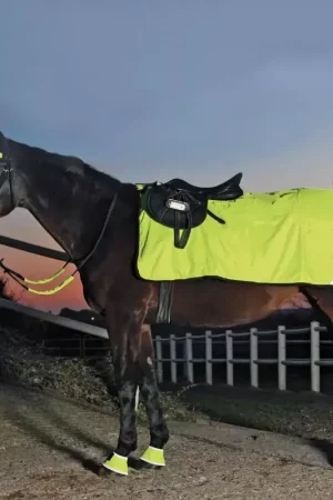 Vente Flash Couvre-reins réfléchissant imperméable cheval Reflex - Waldhausen