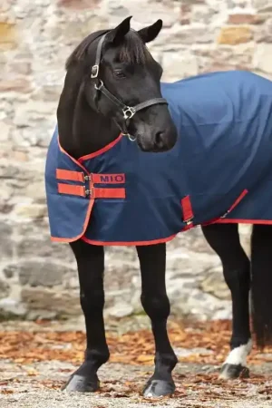 Chemise de box et de transport cheval Mio Stable - Horseware Livraison Express