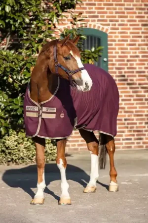 Achetez Aujourd'hui Chemise écurie transport cheval Amigo Stable - Horseware